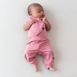 Hot Kyte Baby Bib in Apple Blossom