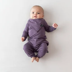 Online Kyte Baby Bib in Currant