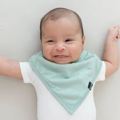 Best Kyte Baby Bib in Sage