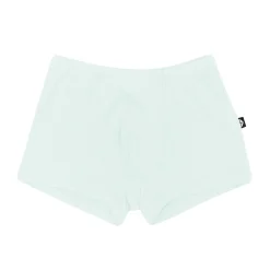 New Kyte Baby Briefs in Dew