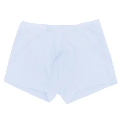 Sale Kyte Baby Briefs in Mist