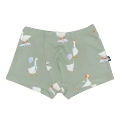 Sale Kyte Baby Briefs in Silly Goose