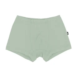 Clearance Kyte Baby Briefs in Thyme