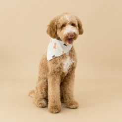 Best Kyte Baby Dog Bandana in Fluffy Dog