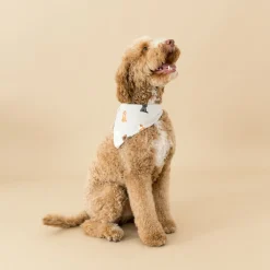 Best Kyte Baby Dog Bandana in Fluffy Dog