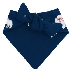 Online Kyte Baby Dog Bandana in Frosty Friends