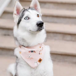 Online Kyte Baby Dog Bandana in Gilmore Girls
