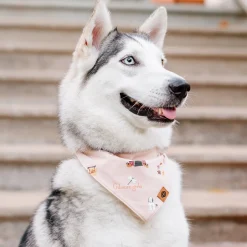Online Kyte Baby Dog Bandana in Gilmore Girls