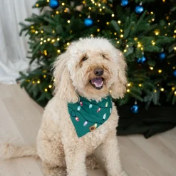 New Kyte Baby Dog Bandana in Merry and Bright
