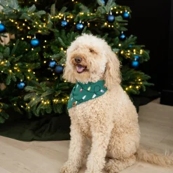 New Kyte Baby Dog Bandana in Merry and Bright