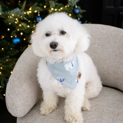 New Kyte Baby Dog Bandana in Polar Lights