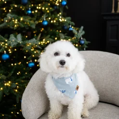 New Kyte Baby Dog Bandana in Polar Lights