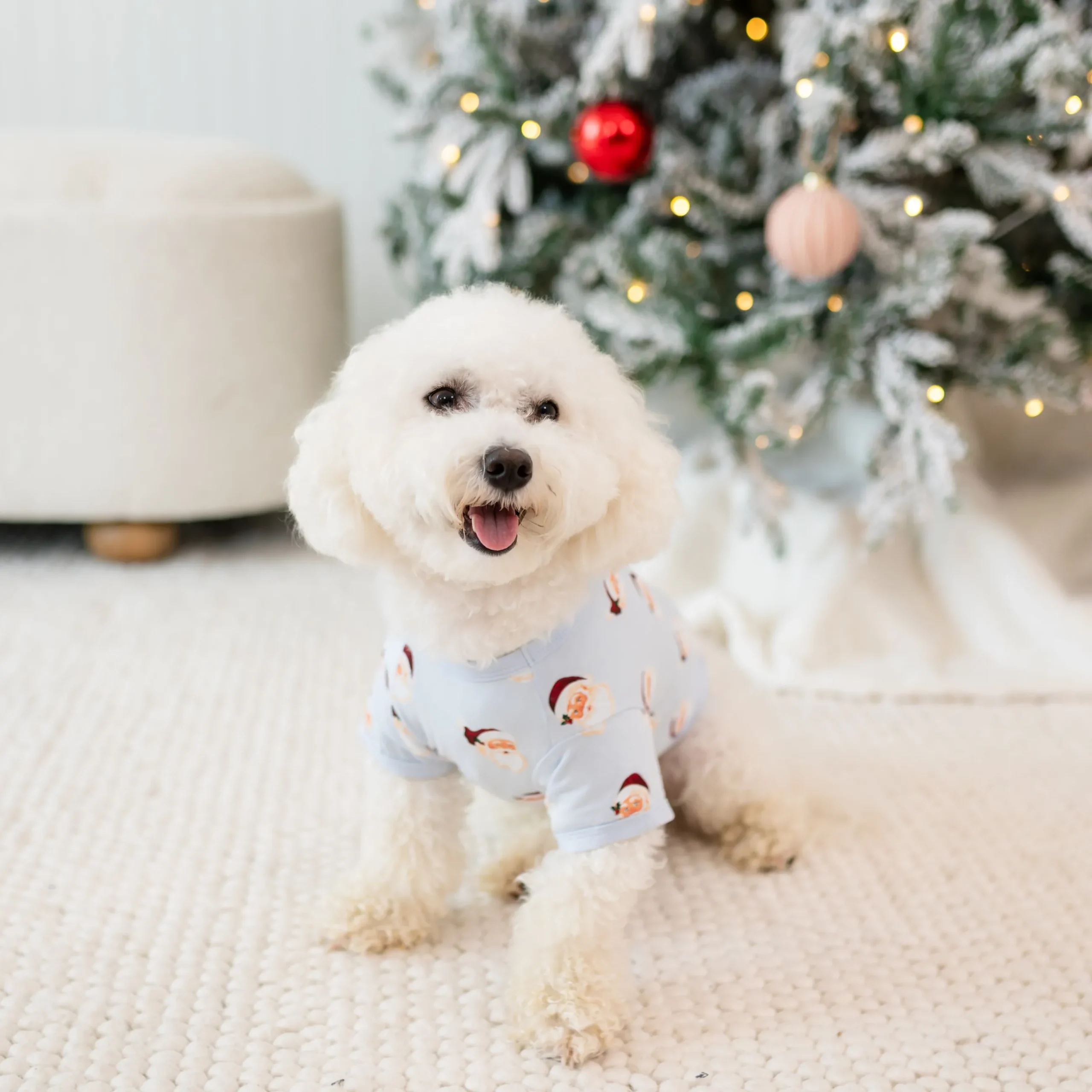 Clearance Kyte Baby Dog Tee in Vintage Santa
