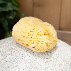 Hot Kyte Baby Sea Sponge