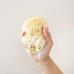 Hot Kyte Baby Sea Sponge