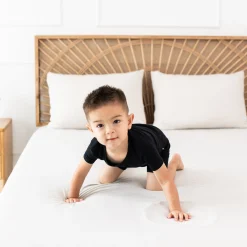 Hot Kyte Baby Short Sleeve Pajamas in Midnight