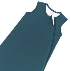 Kyte Baby Sleep Bag in 1.0 Atlantic