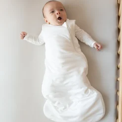 Online Kyte Baby Sleep Bag in 1.0 Cloud