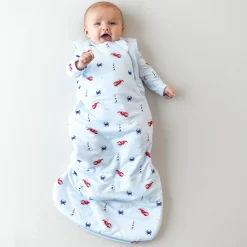 Best Kyte Baby Sleep Bag in 1.0 Harbor