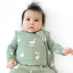New Kyte Baby Sleep Bag in 1.0 Silly Goose