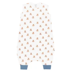 Discount Kyte Baby Sleep Bag Walker in 1.0 Teddy Bear