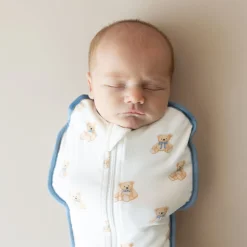 Online Kyte Baby Swaddle Bag in 0.5 Teddy Bear