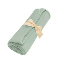 Best Kyte Baby Swaddle Blanket in Thyme